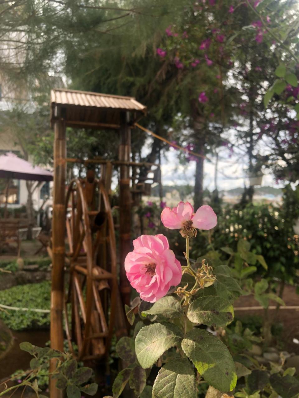 Lotus Villa Đà Lạt Esterno foto